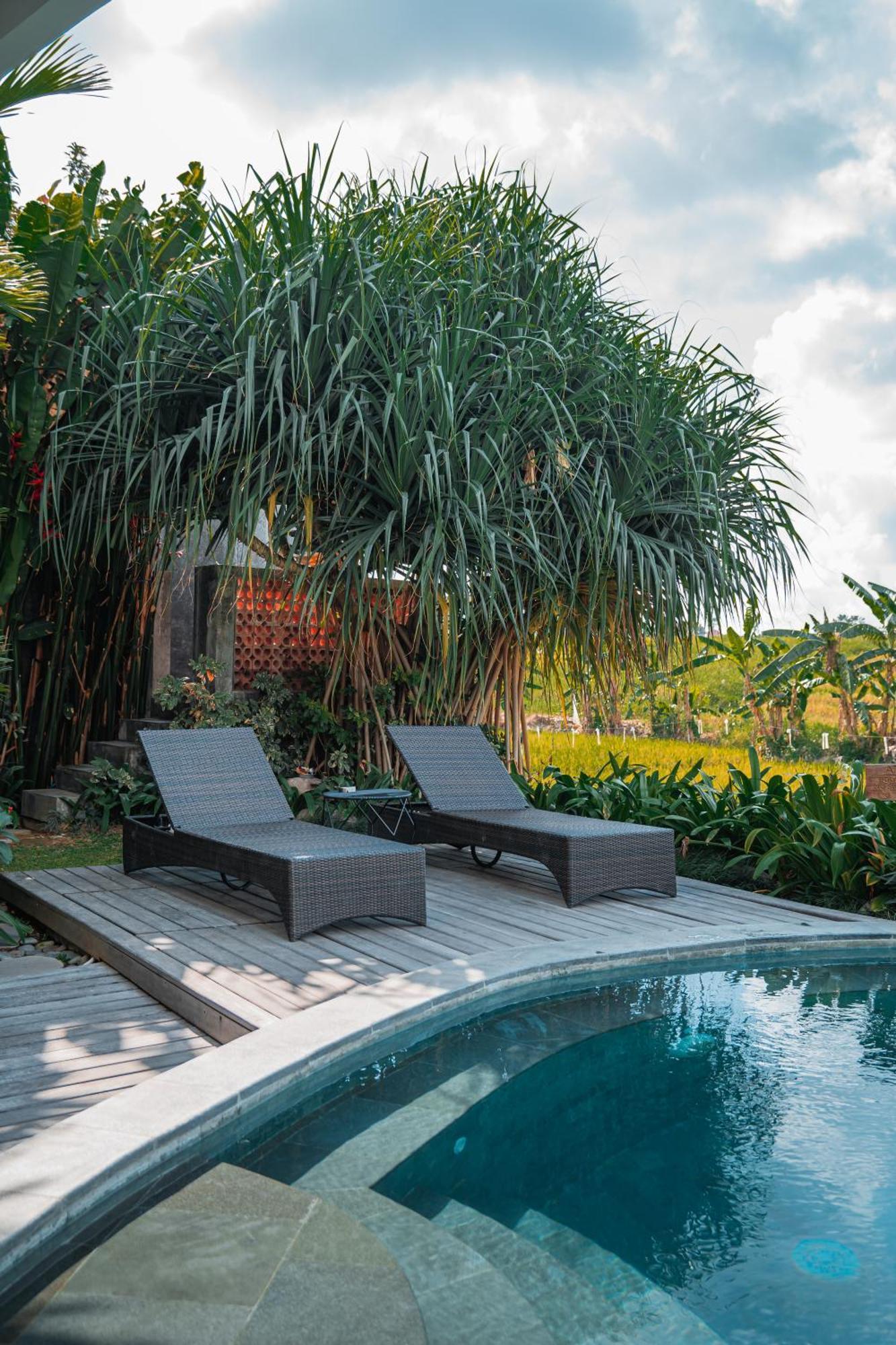 קנגו Mahalona Bali Stay מראה חיצוני תמונה